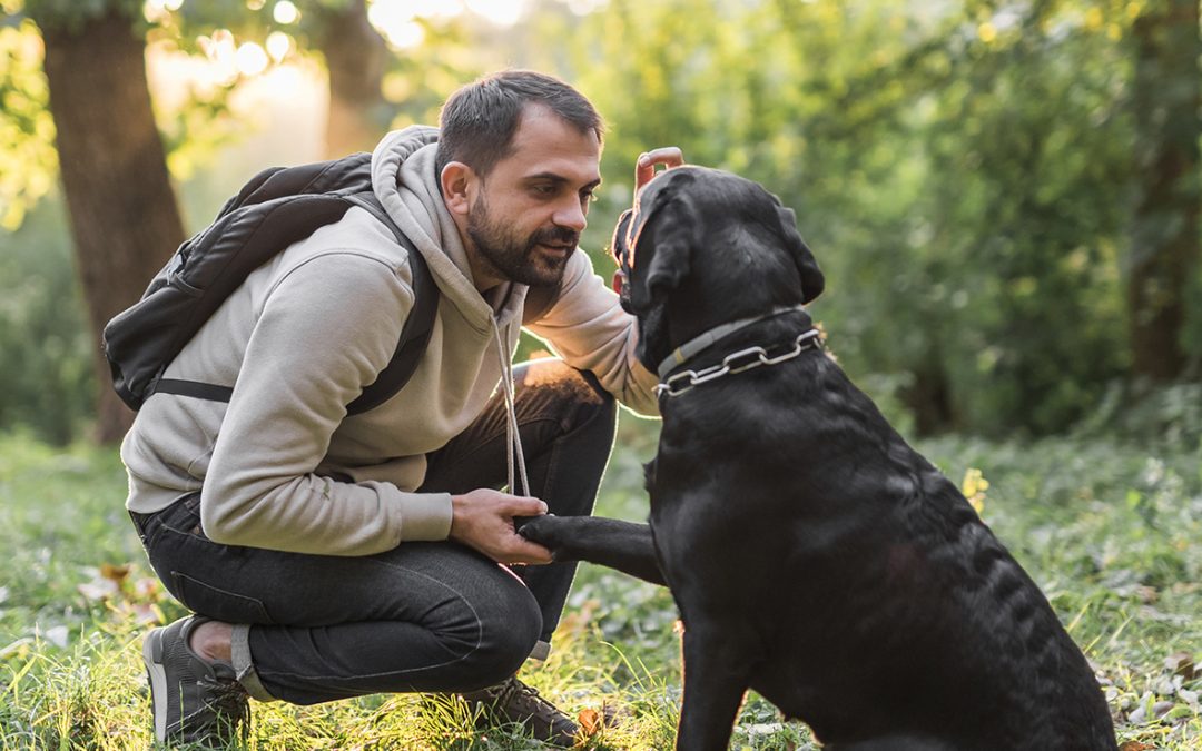 Nouvelles du jour – Blog La Centrale des Animaux Les animaux et l’automne : Préparez vos compagnons pour la saison !